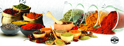SPICE TRUCK  - SPICES AND MASALAS